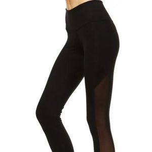 Brand New YOGI Leggings
